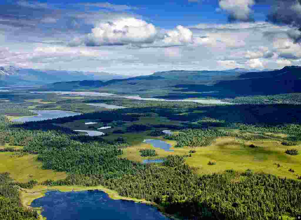 Alpine lakes and forest, in Denali National Park, Alaska. Mount McKinley or Denali ("The Great One") in Alaska is the highest mountain peak in North America, at a height of approximately 20,320 feet (6,194 m) above sea level. It is the centerpiece of Denali National Park. (Carol M. Highsmith, Library of Congress Collection)