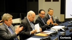 En la XX Reunión del Comité de Expertos participaron más de 50 delegados de los 31 Estados del MESICIC. [Foto: OEA]