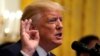 Дональд Трамп защитил Тулси Габбард от критики со стороны Хиллари Клинтон 