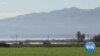 Immigrant Farm Workers Line Up for COVID-19 Vaccines in US