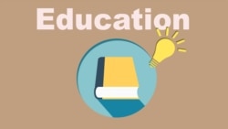 Learning with Computers Requires New Skills for Immigrant Students