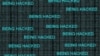 ABC: избирательные органы половины штатов подверглись хакерским атакам