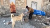 گەنجێکی ئاژەڵدۆست خواردن و دەرمان بۆ سەگ وپشیلە بێلانەکان دابین دەکات 