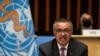 WHO Chief Says World at Perilous Point in COVID-19 Pandemic