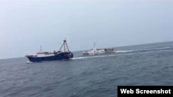 Tàu kiểm ngư Vùng 1 Việt Nam xua đuổi tàu cá vỏ thép Trung Quốc ra khỏi vùng biển Vịnh Bắc Bộ hôm 7/4/2019. Ảnh Chi cục Kiểm ngư Vùng 1/ Thanh Niên.