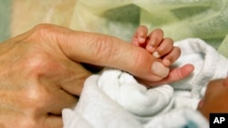 An infant grasps volunteer Kathleen Jones' hand in the neonatal intensive care unit at the University of Chicago's Comer Children's Hospital in Chicago on Wednesday, Feb. 19, 2014. Jones, 52, is one of several people who volunteer to cuddle babies at the hospital. 