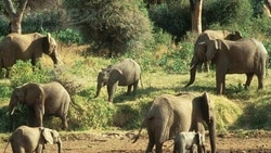 Moçambique: Páscoa não atrai muitos turistas