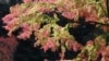16x9 Image