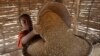 Sub-Saharan Africa's Dependence on Child Labor Affects Development