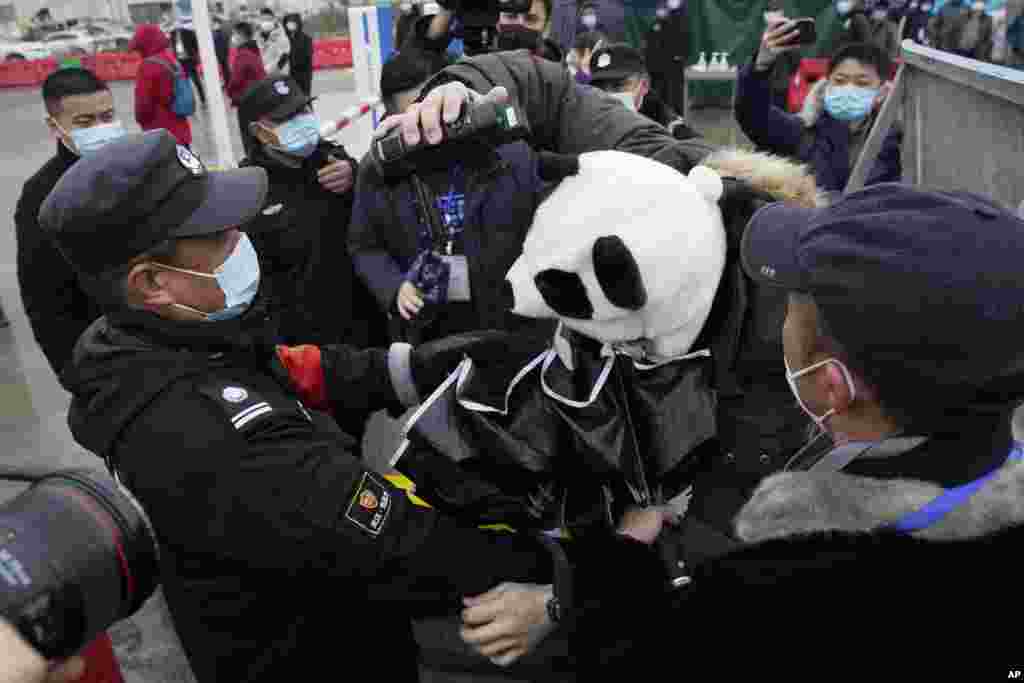 Security personnel struggle with a journalist wearing a panda design covering at the Baishazhou wholesale market during a visit by the World Health Organization team on their third day of field visit in Wuhan in central China's Hubei province.