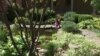 Hospital Prescribes Healing Dose of Mother Nature