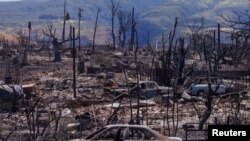 Екипи со кучиња трагачи пребарале околу 32 отсто од областа, соопшти во вторникот округот на Мауи.