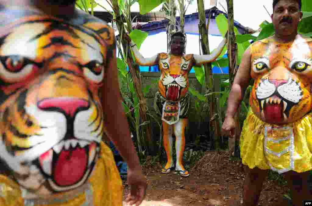 Para pria penari India mengeringkan cat di tubuhnya sebelum tampil dalam Tari Harimau atau 'Pulikali' di kota Thrissur, Kerala, India.