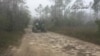 A Buggy Ride Through Big Cypress National Preserve