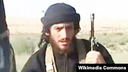 فوج کے انسداد دہشت گردی کے شعبے نے مشرقی موصل میں اپنی کارروائیاں شروع کر دی ہیں۔