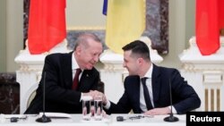 Президенты Эрдоган и Зеленский