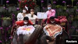Sepasang suami istri menerima surat nikah dari petugas di atas gajah pada perayaan Hari Valentine di Taman Tropis Nong Nooch, provinsi Chonburi, Thailand, 14 Februari 2021. (REUTERS/Chalinee Thirasupa)
