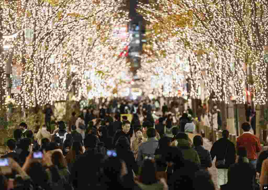 People walk on a street illuminated with lightings on trees during "vehicle-free hours" in Tokyo, Japan.