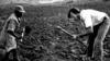 Peace Corps Among President Kennedy's Lasting Achievements