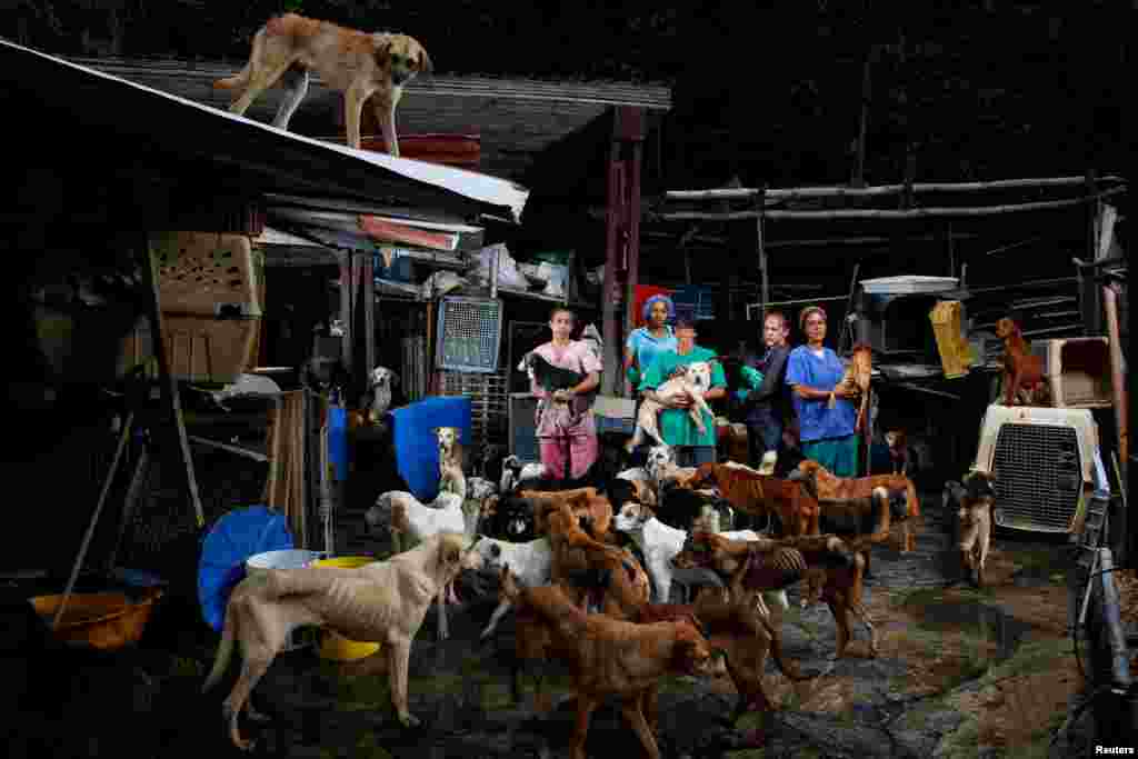 (L-R) Maria Silva, Milena Cortes, Maria Arteaga, Jackeline Bastidas and Gissy Abello with dogs at the Famproa dogs shelter where they work, in Los Teques, Venezuela. Venezuelans struggling to feed their families, let alone pets, amid an unprecedented economic crisis increasingly are dumping scrawny animals in streets, parks and makeshift shelters.