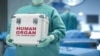 Indian Kidney Traders Smuggle Donors to Egypt to Beat Strict Donation Rules