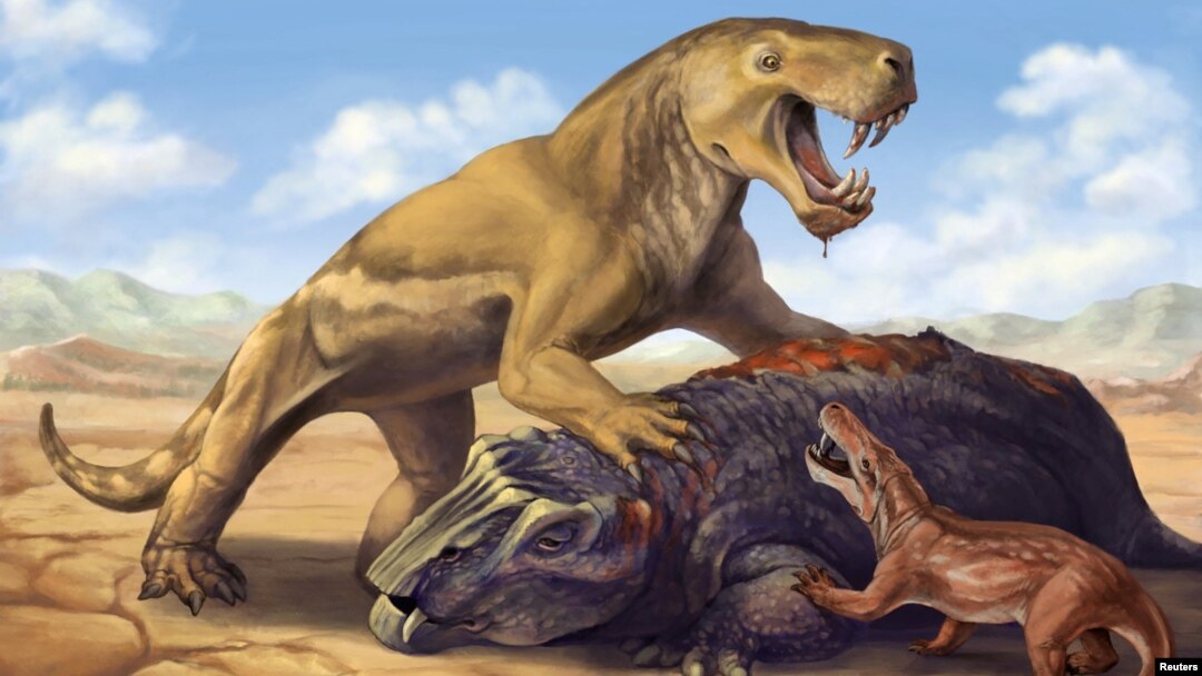 This undated illustration shows the Permian Period tiger-sized saber-toothed protomammal Inostrancevia atop its dicynodont prey, scaring off the much smaller species Cyonosaurus. (Matt Celeskey/Handout via REUTERS)
