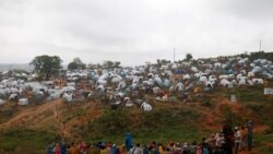 አብ ከባቢ ሞያሌ ዝተፈጥረ ጸገም ጸጥታ ህይወት ሰብን ንብረትን ከምዝጠፍአ ተገሊጹ