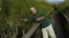 John Gaudet walks through a papyrus swamp in Israel in 2011. (Courtesy John Gaudet) 