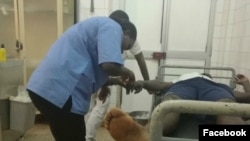 Lesmes Monteiro do Movimento Cidadãos Inconformados da Guiné-Bissau ho hospital após agressão